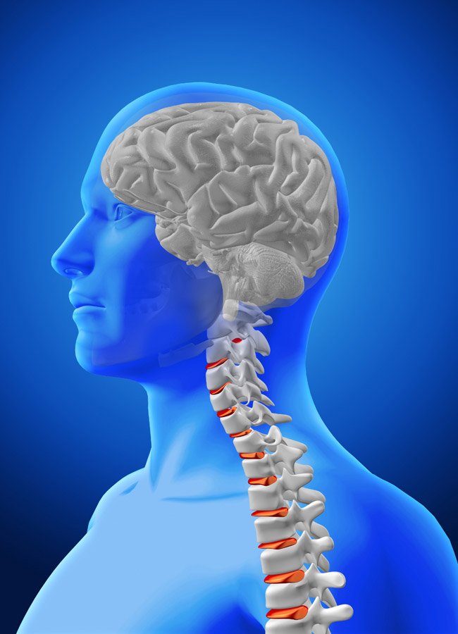 neuro-and-spine